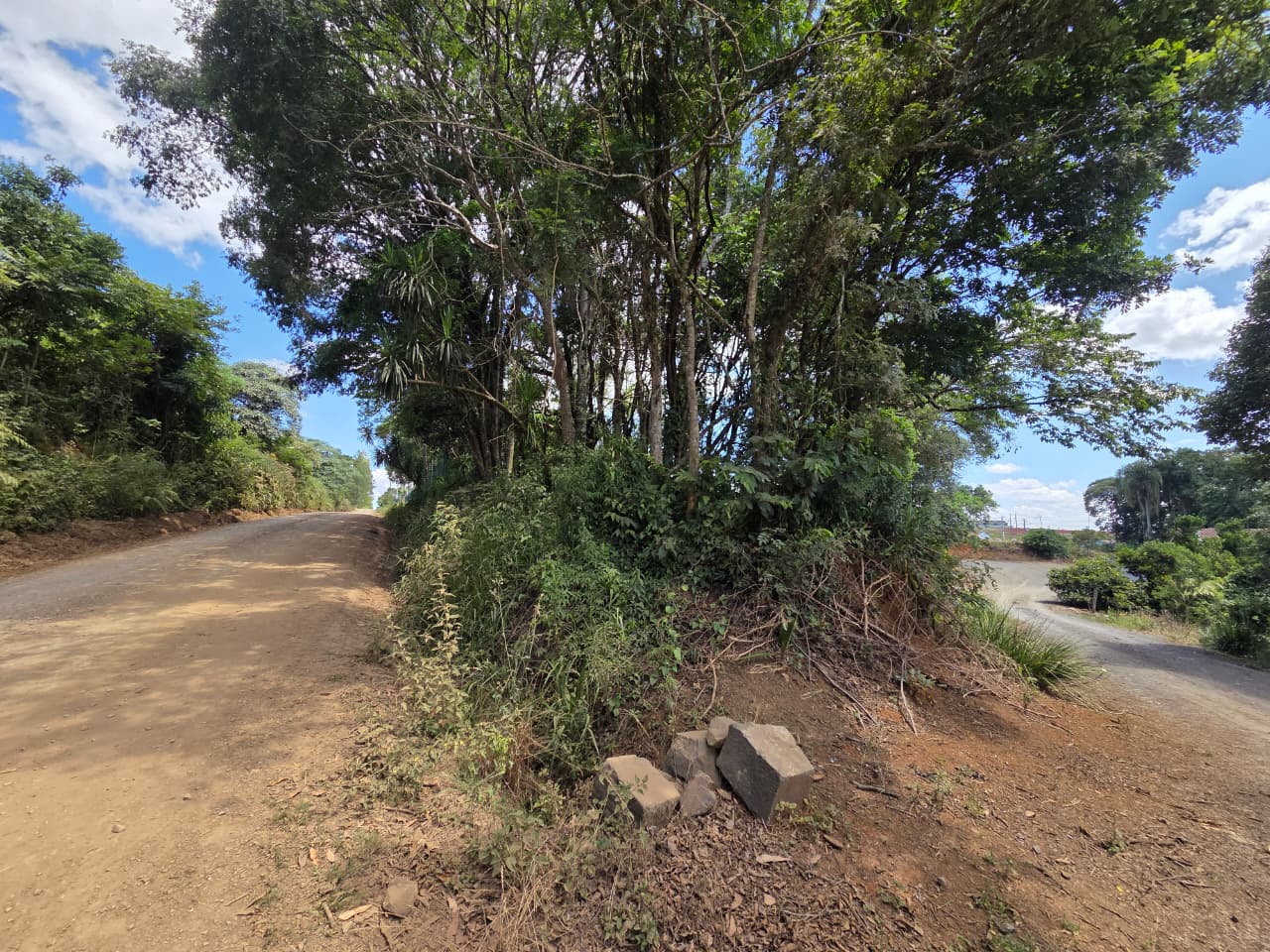 Lote - Imagem 4