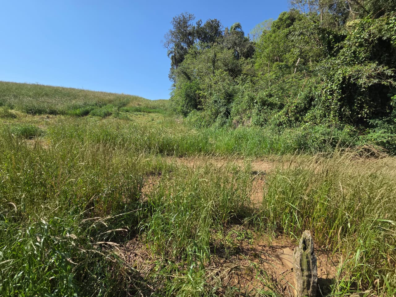 Terreno Rural