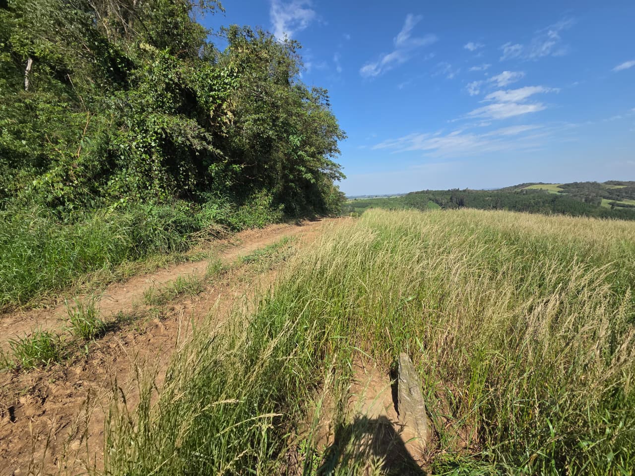 Terreno Rural - Imagem 2