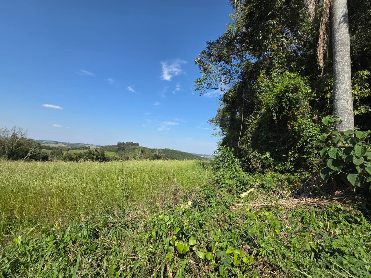 Terreno Rural - Imagem 3