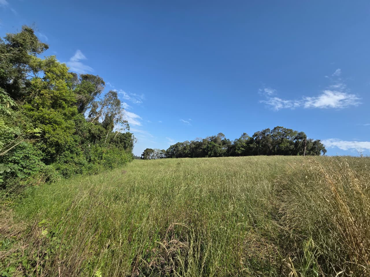 Terreno Rural - Imagem 4