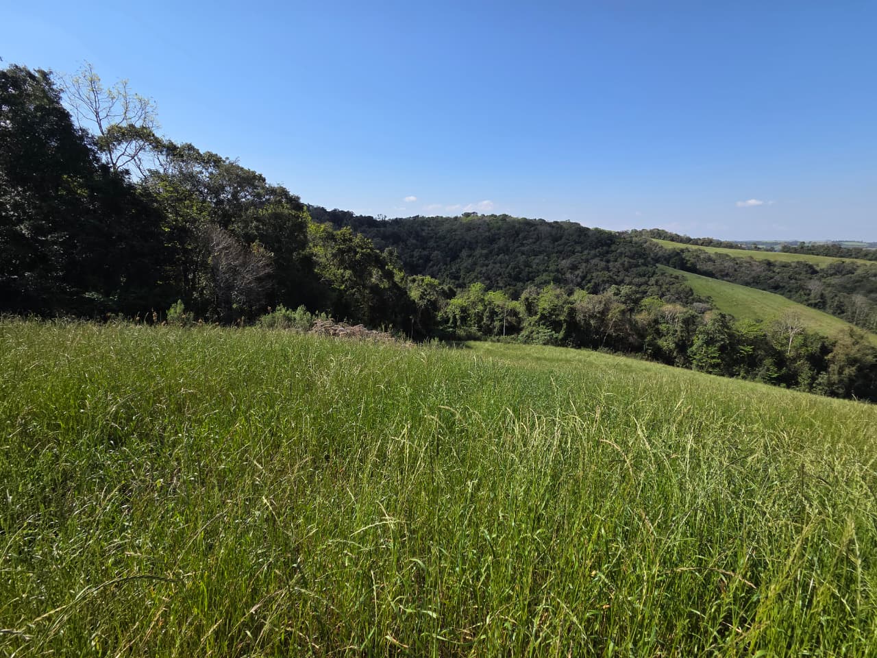 Terreno Rural - Imagem 5