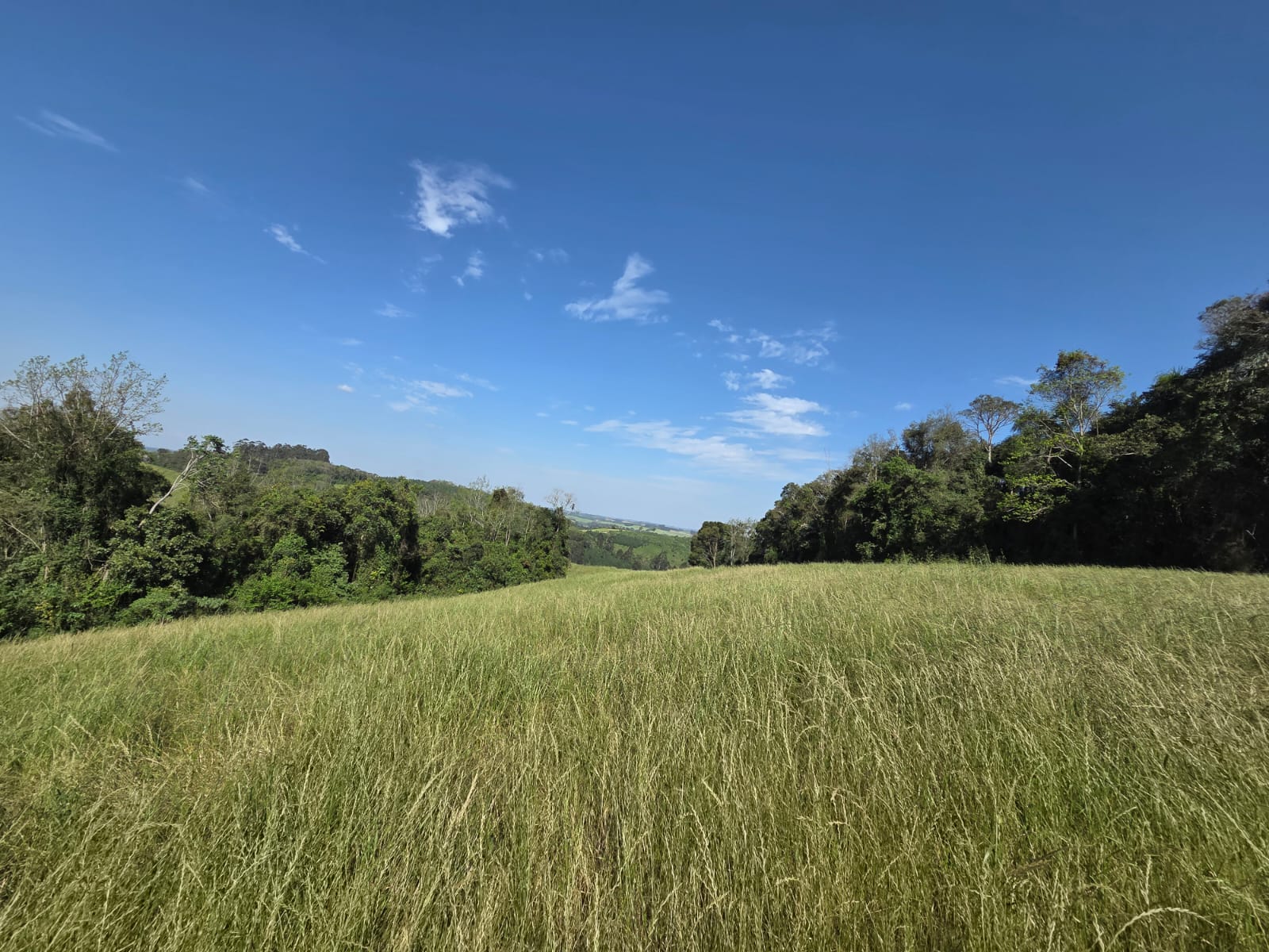 Terreno Rural - Imagem 6
