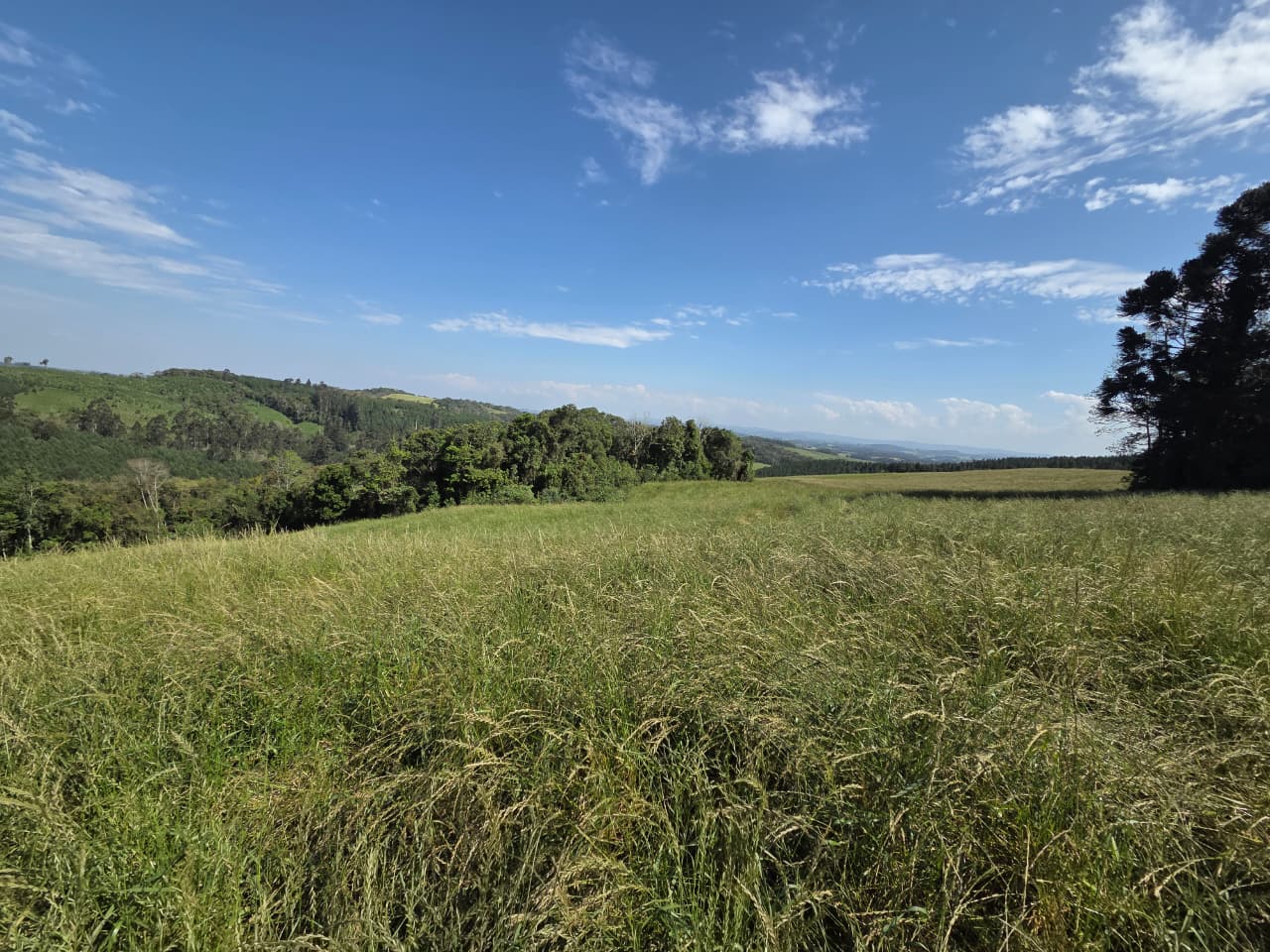 Terreno Rural - Imagem 7
