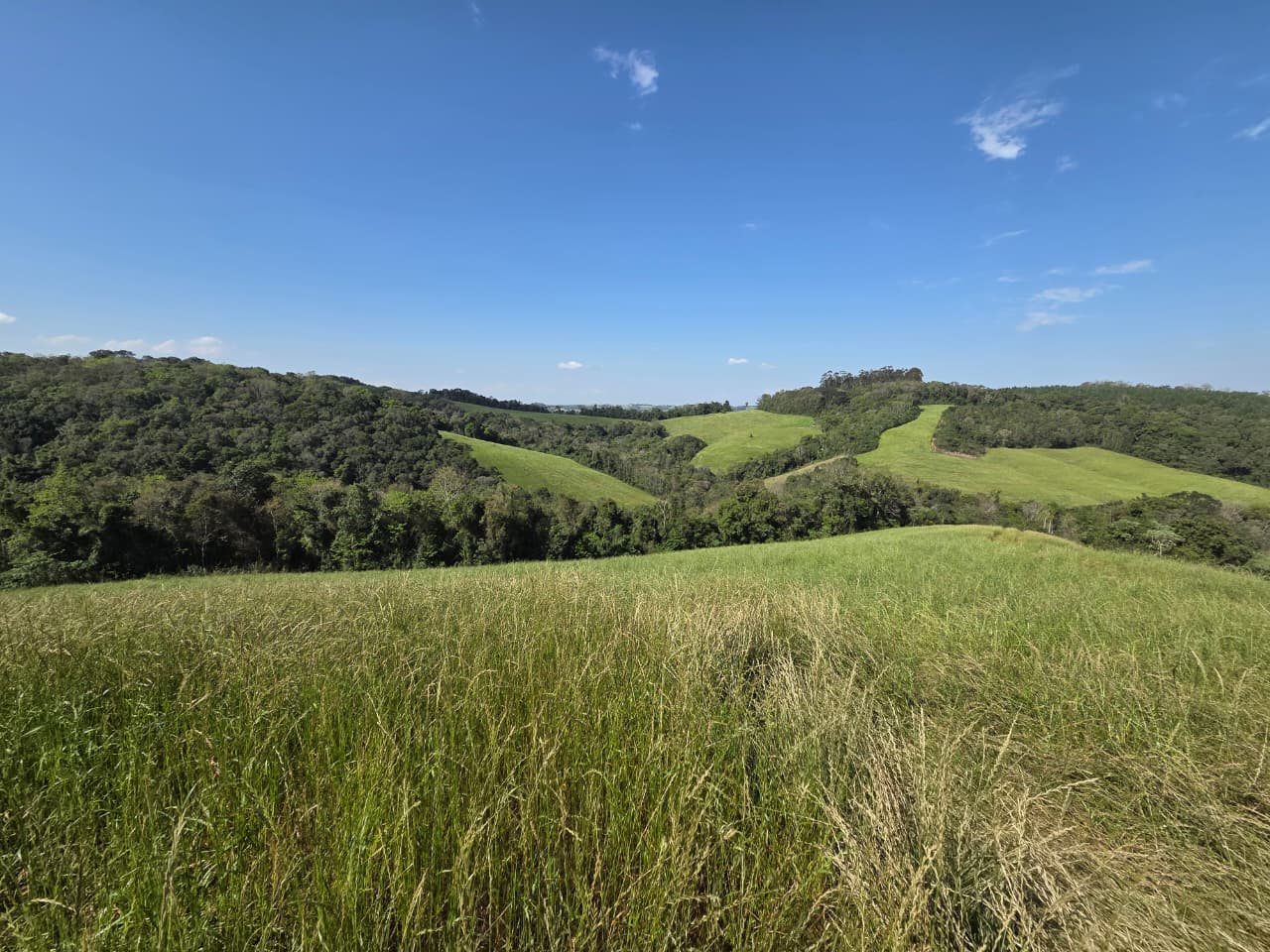 Terreno Rural - Imagem 8